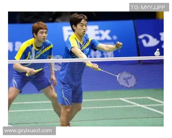 南京羽毛球队战术分析与发展策略探讨助力竞技水平提升